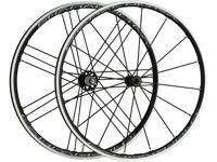 Picture of CAMPAGNOLO KOTAČI SHAMAL ULTRA DARK C17 HG11 WH17-SHCFRX1BMB