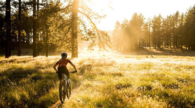 Picture of Uskršnja akcija na Specialized Pitch i Crosstrail modele