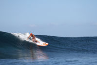 Picture of RRD LongSUP wood 9'0'' i 9'4''