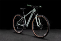 Picture of CUBE ACCESS WS EXC STONEGREY´N´FERN 2022