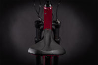 Picture of CUBE ACCESS WS EXC DARKBERRY´N´BLACK 2021