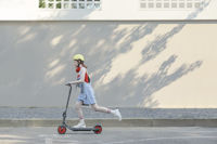 Picture of Električni romobil Segway Zing C20