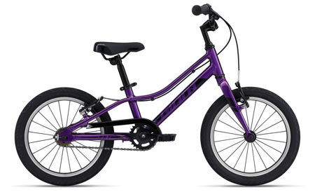 Picture of GIANT ARX 16 F/W PURPLE 2022