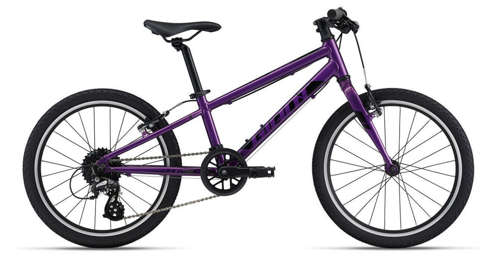 Picture of GIANT ARX 20 PURPLE 2022