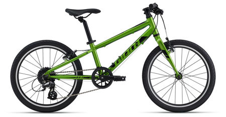 Picture of GIANT ARX 20 METALLIC GREEN 2022