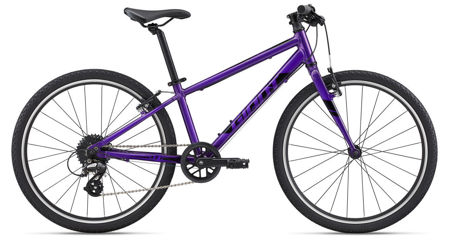 Picture of GIANT ARX 24 PURPLE 2022
