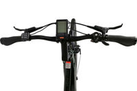 Picture of MS ENERGY eBike c501