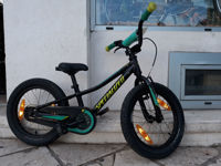 Picture of Specialized Rip Rock 16"