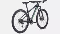 Picture of Specialized Rockhopper Sport 29 SATIN FOREST / OASIS