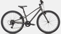 Picture of Specialized Jett 24  SATIN SMOKE / FLAKE SILVER