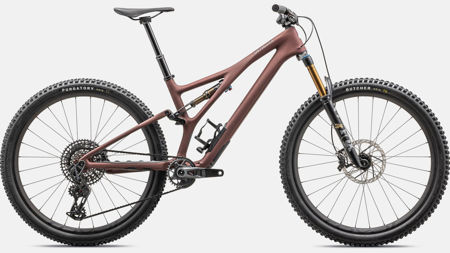 Picture of Stumpjumper Pro T-Type 2023 SATIN RUSTED RED / DOVE GREY