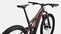 Picture of Stumpjumper Pro T-Type 2023 SATIN RUSTED RED / DOVE GREY