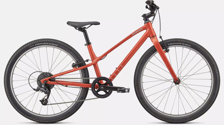 Picture of Specialized Jett 24 SATIN REDWOOD / WHITE