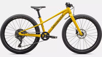 Picture of Specialized Riprock 24 Gloss Slphr Oakgrn