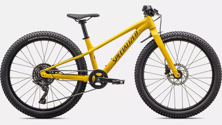 Picture of Specialized Riprock 24 Gloss Slphr Oakgrn
