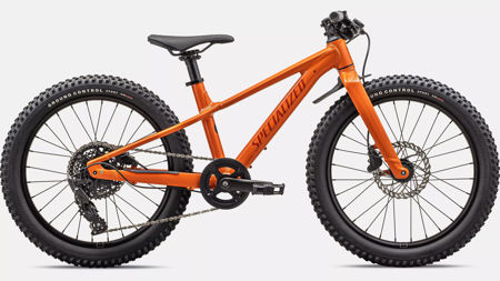 Picture of Specialized Riprock 20 Gloss Ambrglw Redwd