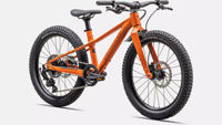 Picture of Specialized Riprock 20 Gloss Ambrglw Redwd