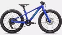 Picture of Specialized Riprock 20 Gloss Sphr Egrn