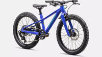 Picture of Specialized Riprock 20 Gloss Sphr Egrn