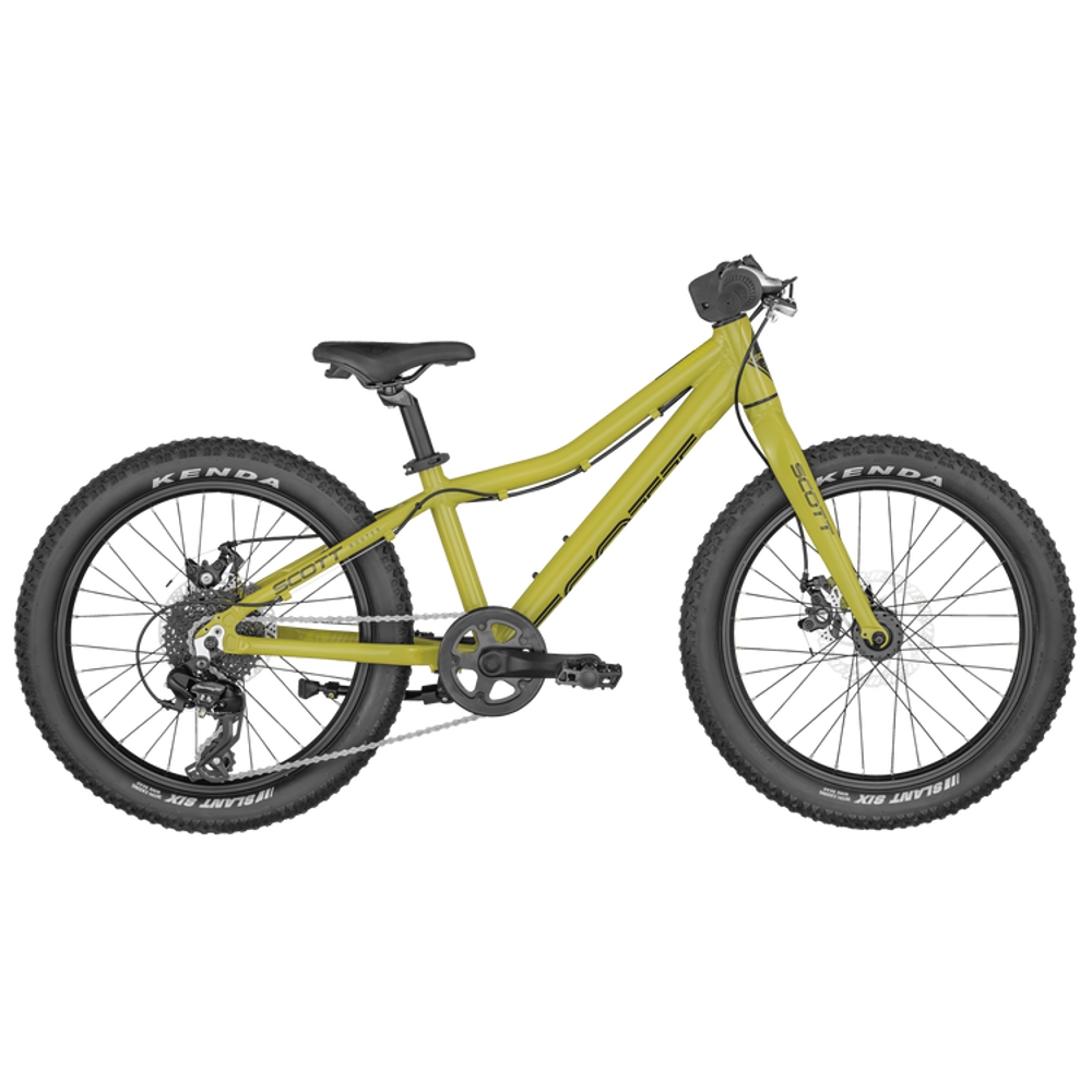 Picture of SCOTT Roxter 20 green Bike