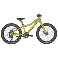 Picture of SCOTT Roxter 20 green Bike