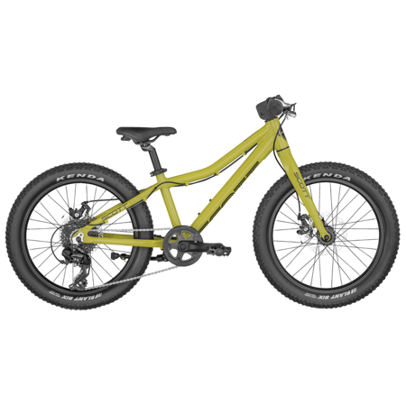 Picture of SCOTT Roxter 20 green Bike