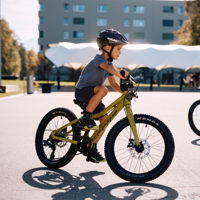 Picture of SCOTT Roxter 20 green Bike