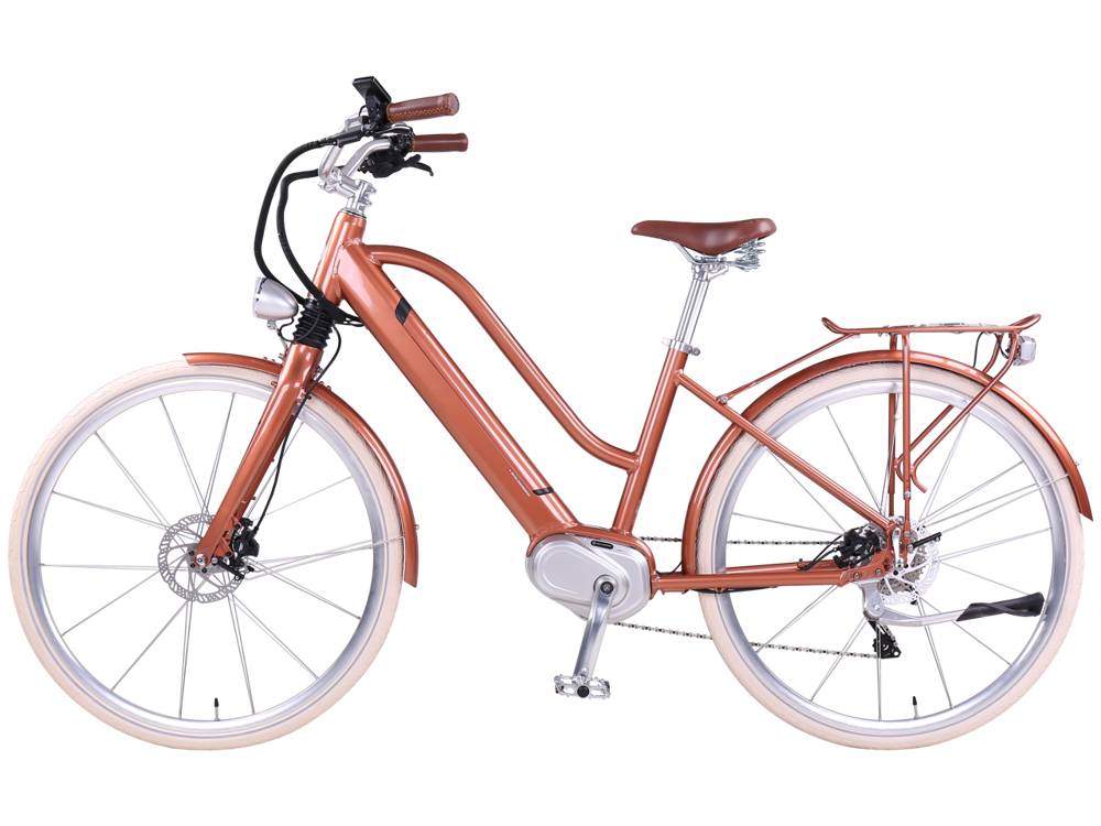 Picture of Egomovement Cleopatra 3.5 bronze size 45 Battery 504 Wh