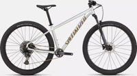 Picture of Specialized Rockhopper Expert 2025 Gloss Silver Dust / Satin Burnt Gold Metallic S-M-L-XL-XXL BLACK FRIDAY !