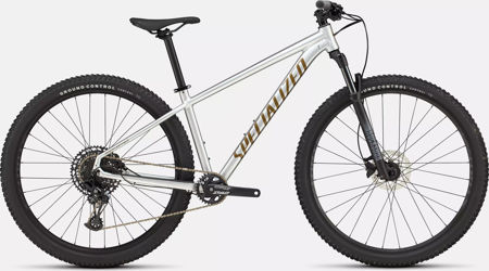 Picture of Specialized Rockhopper Expert 2025 Gloss Silver Dust / Satin Burnt Gold Metallic S-M-L-XL-XXL