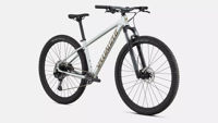 Picture of Specialized Rockhopper Expert 2025 Gloss Silver Dust / Satin Burnt Gold Metallic S-M-L-XL-XXL