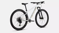 Picture of Specialized Rockhopper Expert 2025 Gloss Silver Dust / Satin Burnt Gold Metallic S-M-L-XL-XXL BLACK FRIDAY !