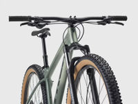 Picture of TREK Marlin 6 Gen 3 2026 Matte Lichen'Keswick Green