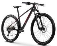 Picture of GHOST LECTOR UNIVERSAL Carbon frame - XT Shadow size L and XL