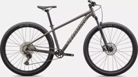 Picture of Specialized Rockhopper Expert SATIN SMOKE / GLOSS CHROME  Shimano Deore M5100, 11-speed -RockShox Judy, Solo Air samo  M velićina